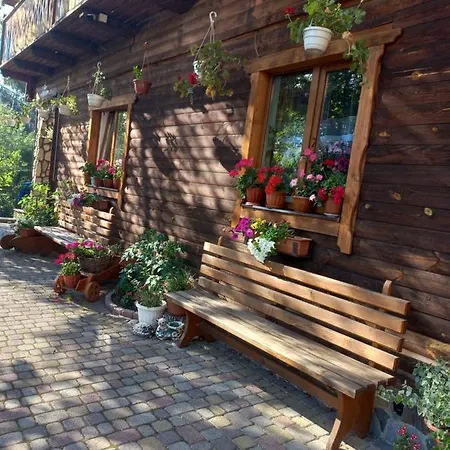 гостинний дім лелич *