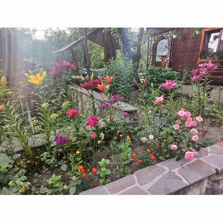 гостинний дім лелич Lodge Vorokhta