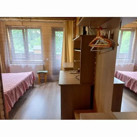 гостинний дім лелич * Worochta